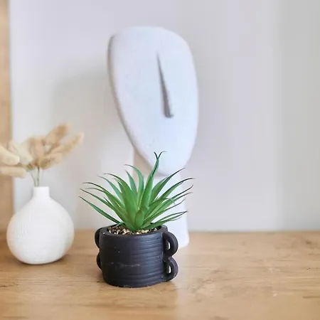 Apartament Le Jacquart Centre-ville Spacieux Confort Reims