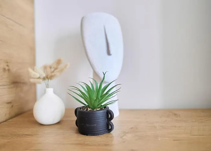 Apartament Le Jacquart Centre-ville Spacieux Confort Reims